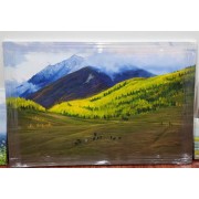 春天（朝鲜油画，作者白恩哲，一级画家，创作于2018年）