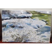 雪地野草（朝鲜油画，规格：80*60